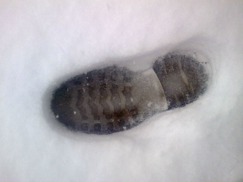 Петр Романов | Бор