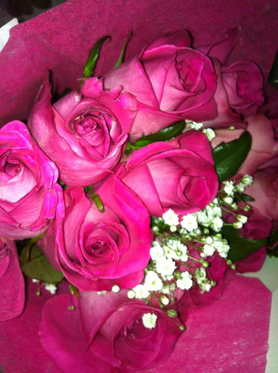 Алёна Ткаченко | Boston