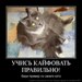 Ирина Сафарова фотография #32 (источник - https://vk.com/id161308072)