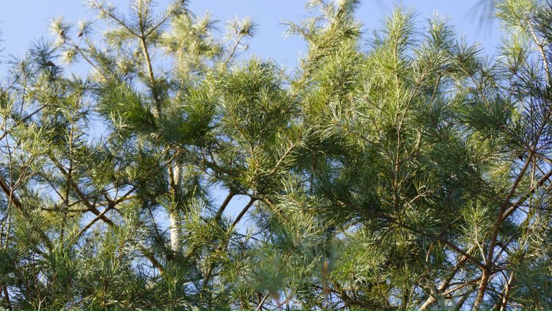 Иринка Удалова | Уральск