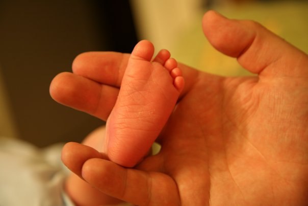 Лариса Тюльпанова | 