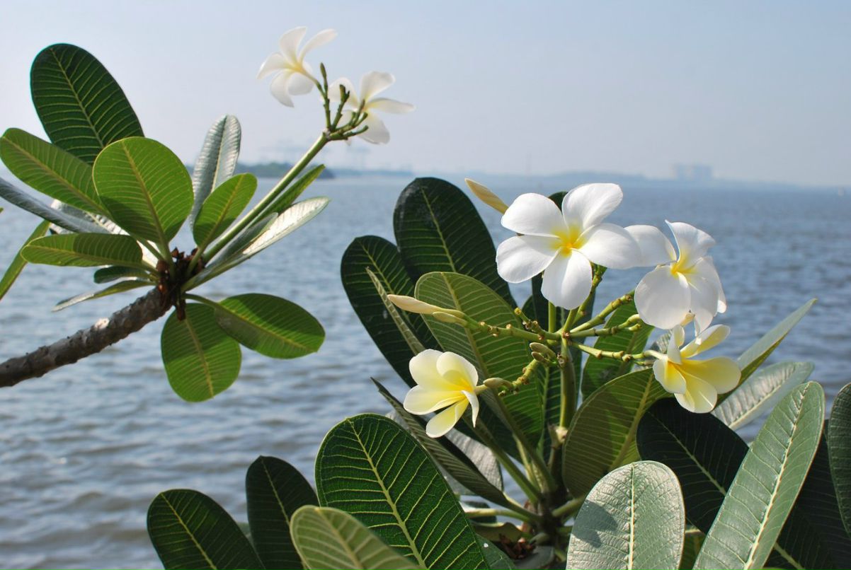 Константин Аблов | Алматы