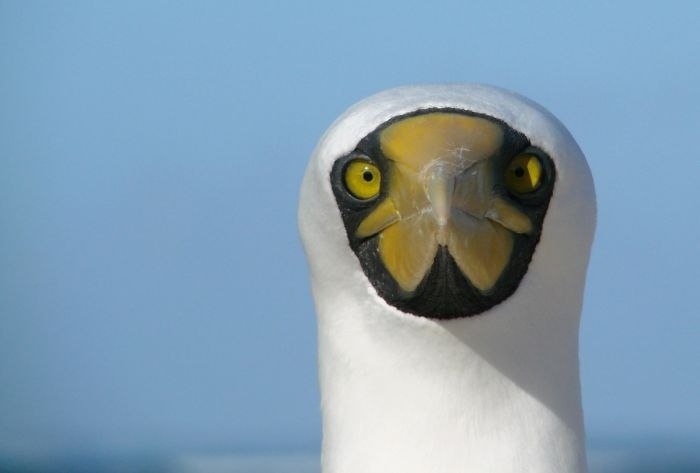 Алексей Варчук | Одесса
