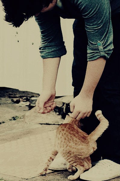 Андрей Мел | Киев