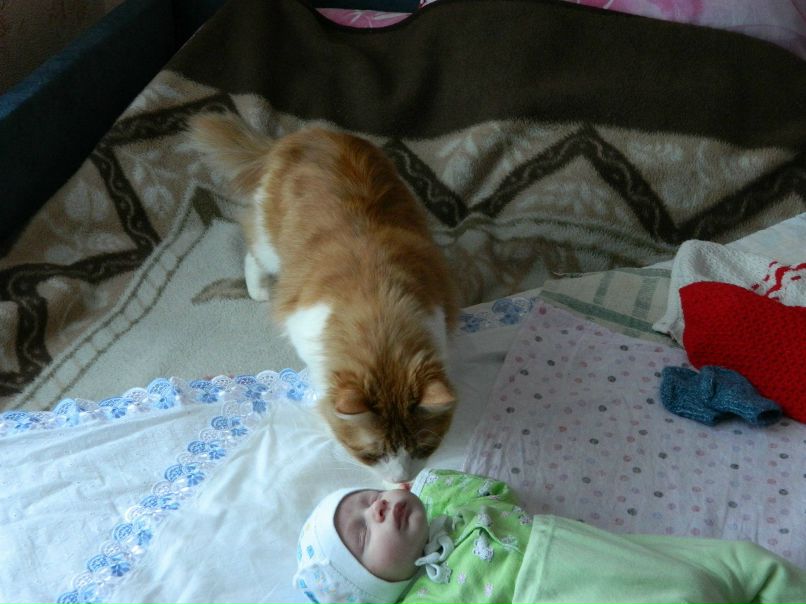 Саша Ушаков | Волхов