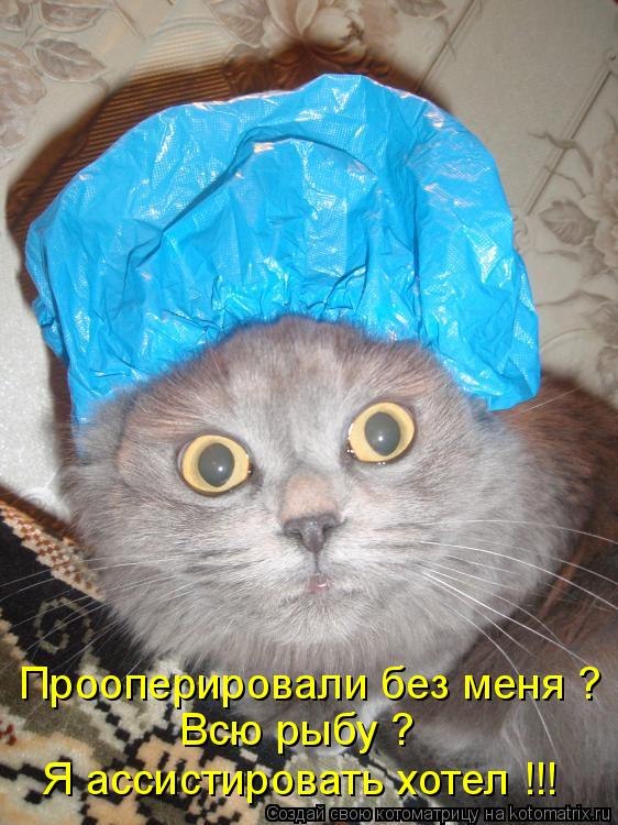 Галина Николаева | Санкт-Петербург