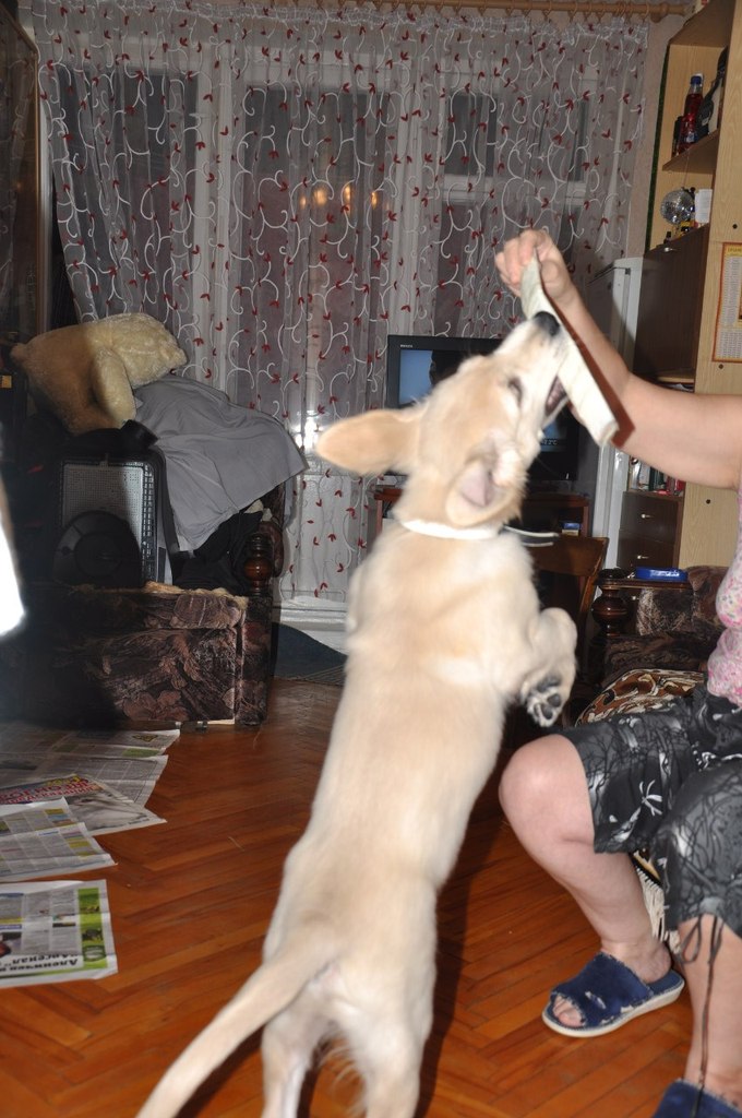 Кристина Пелих .◕‿◕. | Москва