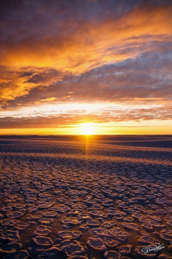 Ал Ав | Санкт-Петербург