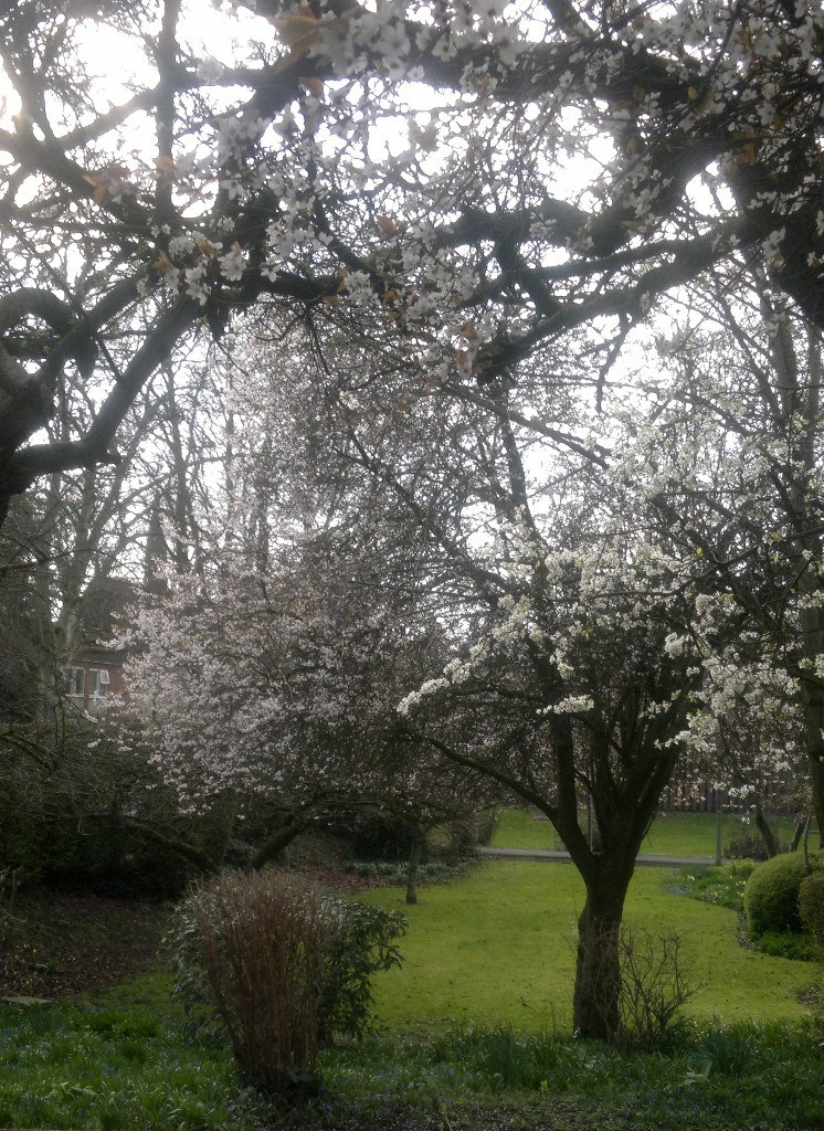 Marta Ozola | Lincoln