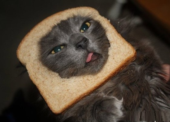 Андрей Зубков tWokee | 