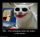 Фотография Рамиль Саитов