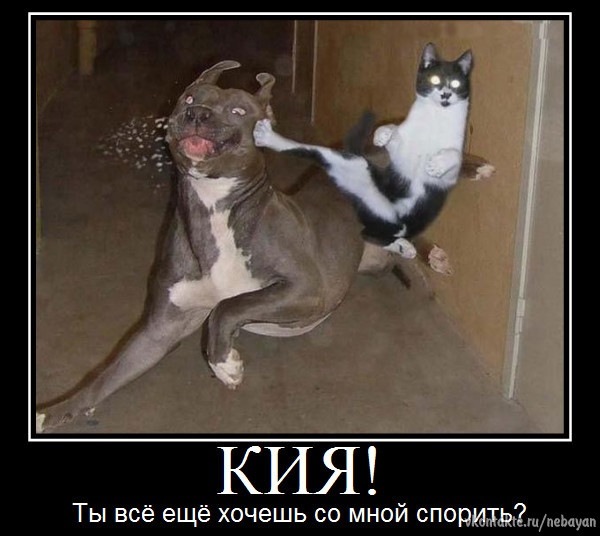 №72, Серый Сид, 32 года, Скадовск №72, Серый Сид, 32 года, Скадовск