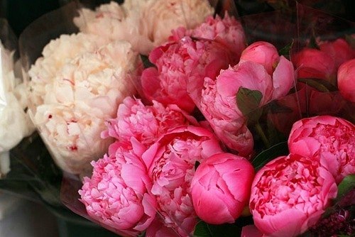 Айсылу Салахова | Чистополь