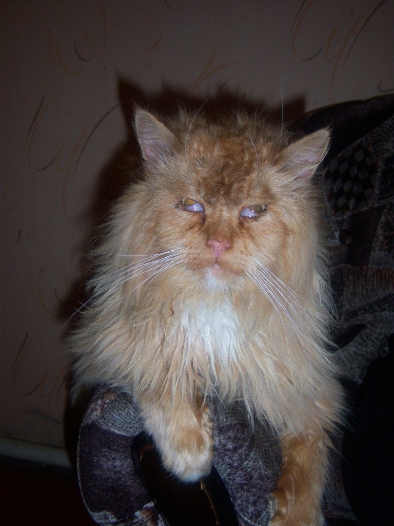 Николай Колесенко | Марьина Горка