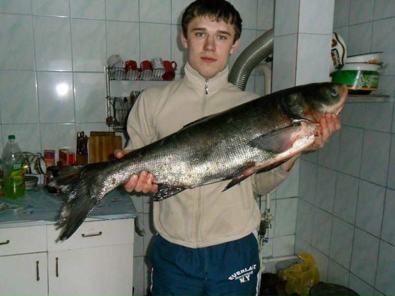 Ярик Руденко | 