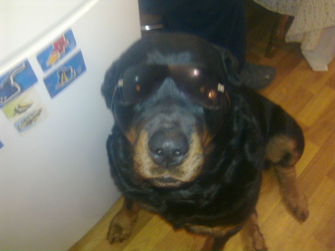 Костя Заславский | Киев