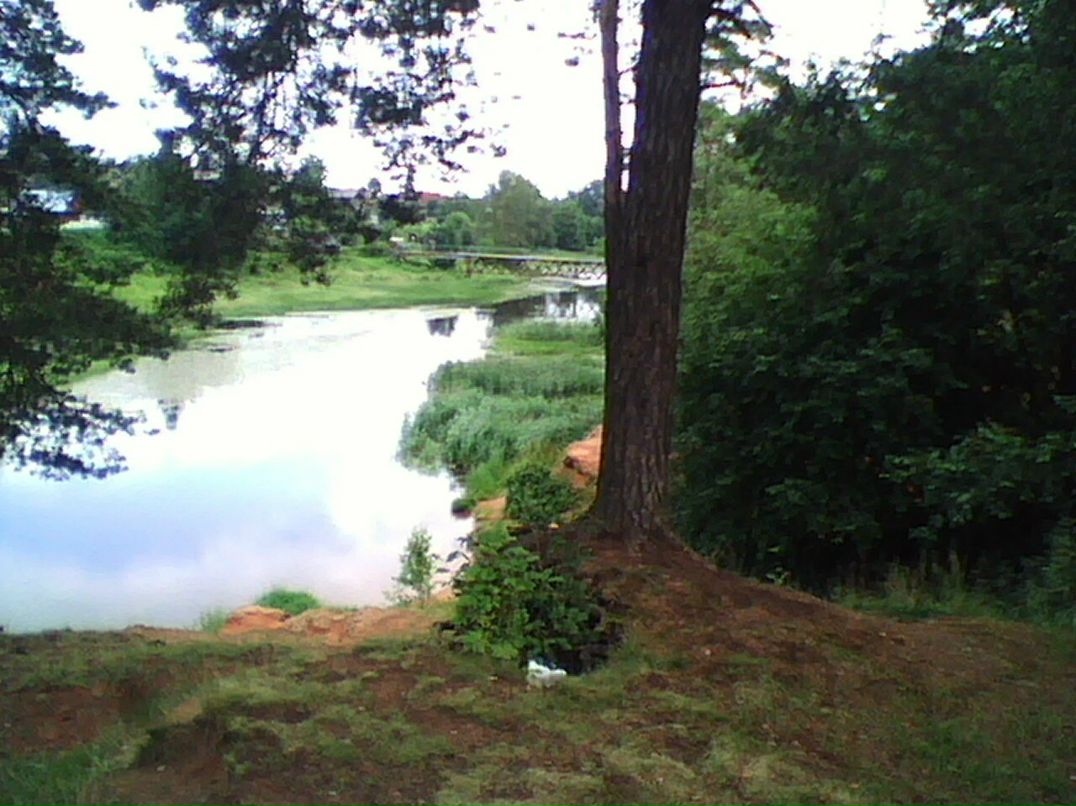 Дмитрий Кириллов Дмитриевич | Санкт-Петербург