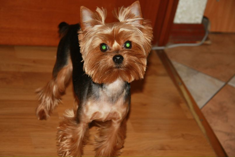 Олечка Титова princessa | Москва