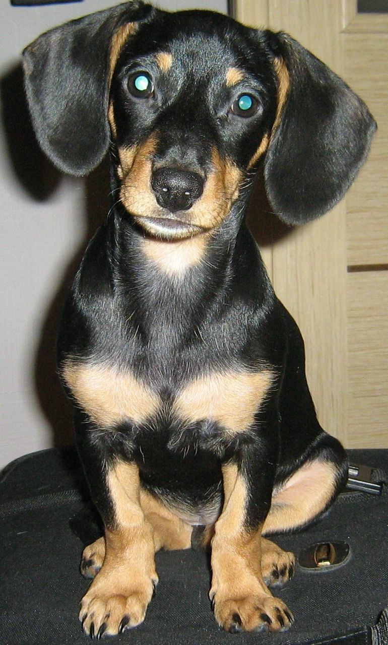 Анна Воронкова | Denver