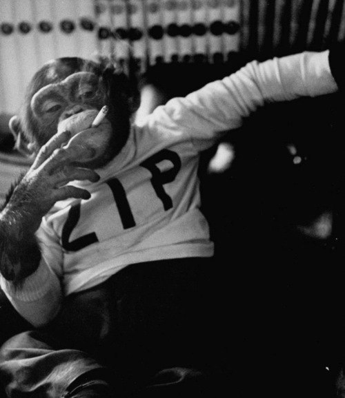 Ilyas Yagmurov | Дашогуз