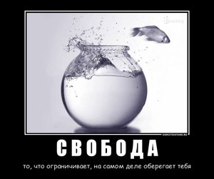 Андрей Скрипка | Минск