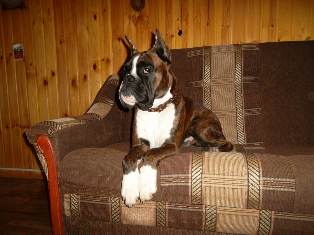 Наталья Тимофеева | Баку