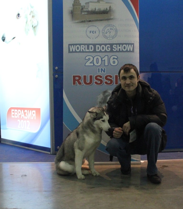 Александр Нецой | Нижний Новгород