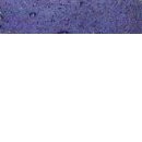 №182, Марина Васильевна, 34 года, Санкт-Петербург №182, Марина Васильевна, 34 года, Санкт-Петербург