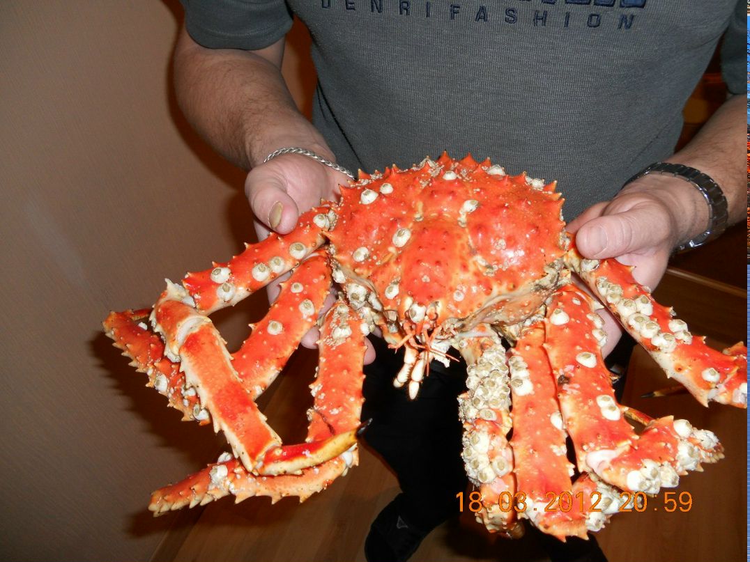 Сергей Залозный 