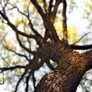 №34 Дмитрий Королёв : профиль, фото, статус - ВКонтакте