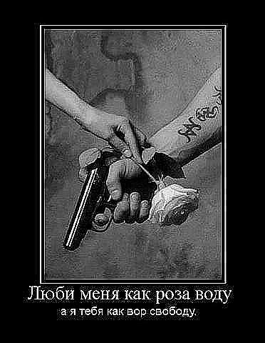 Илья Алпатов | Калининград