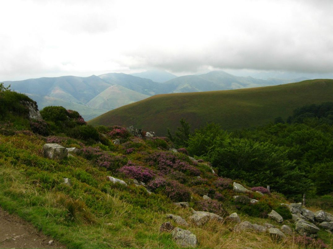 Светлана Иванова | Санкт-Петербург
