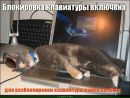 Фотография Максим Сборщиков