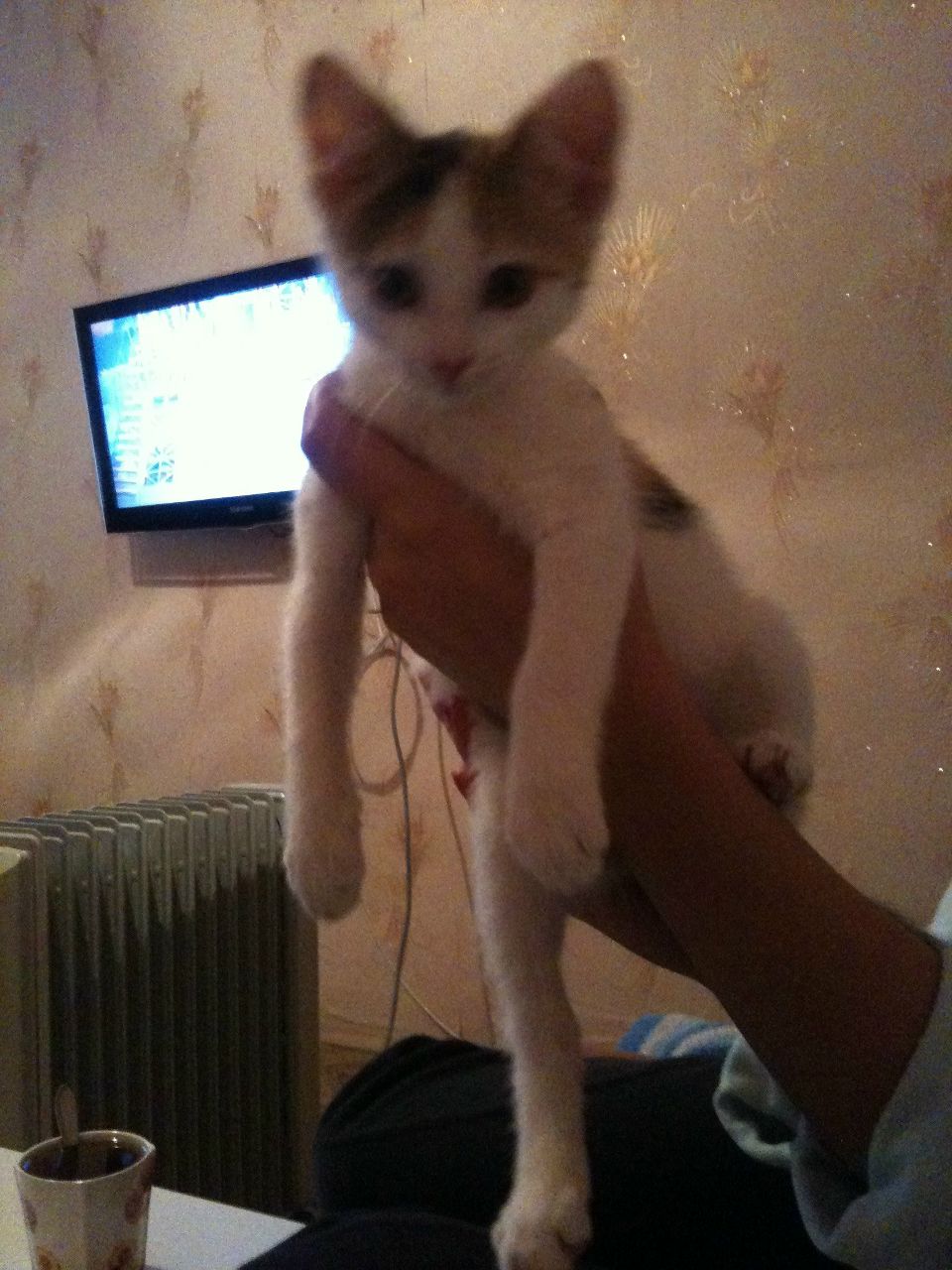 Анна Великогло | Краснодар