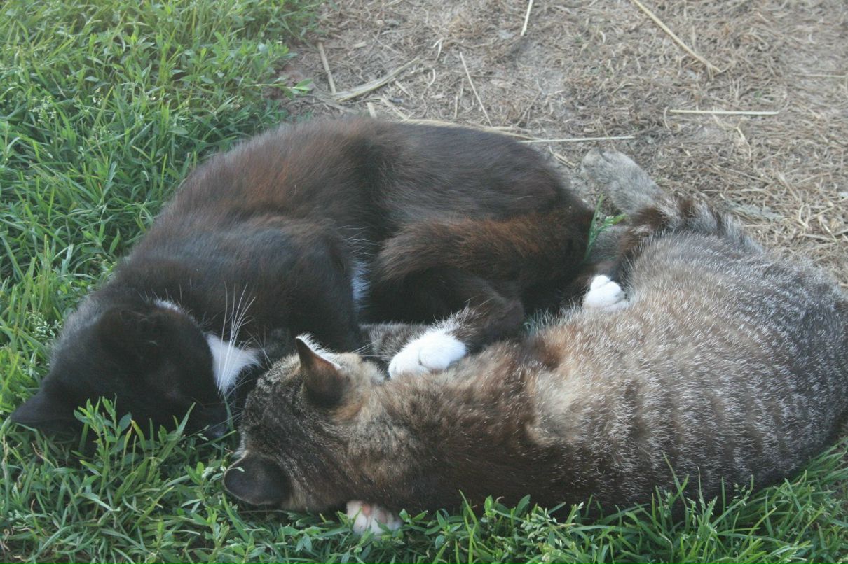 Татьяна Волкова | Минск