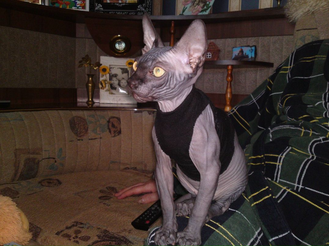 Марина Петрова | Саратов