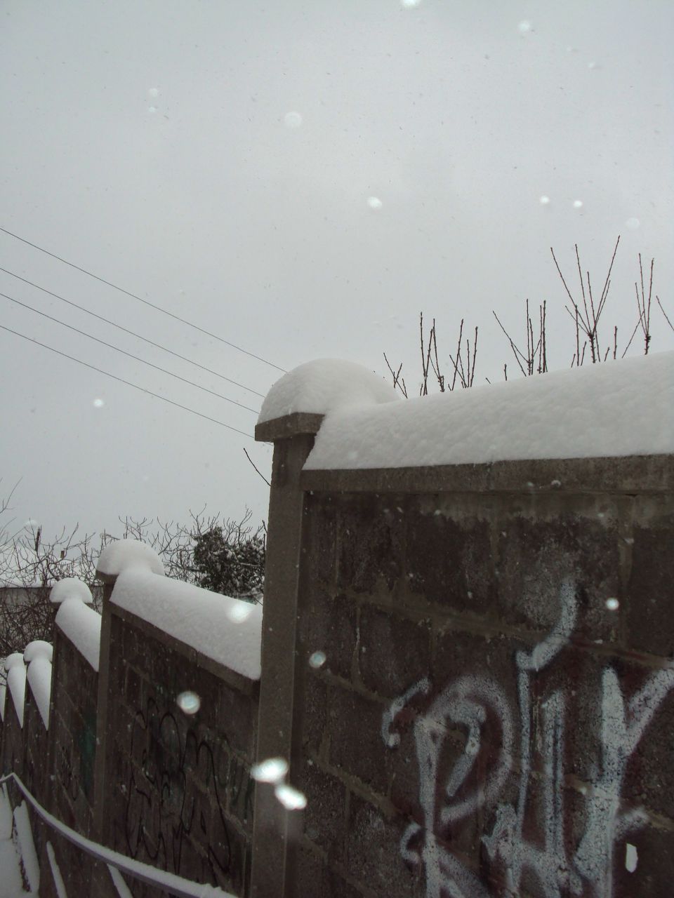 Tanya Negenko | Ялта