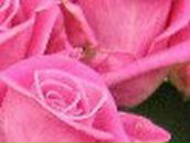 Лариса Аксёнова | Белорецк