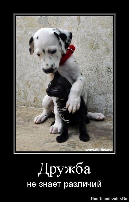 Elinor Simkin | Санкт-Петербург