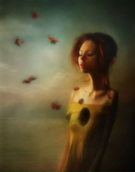 №11, Софья Карпенко №11, Софья Карпенко