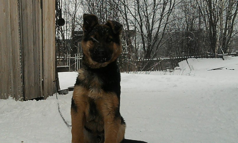 Сергей Зимин | Нижний Новгород