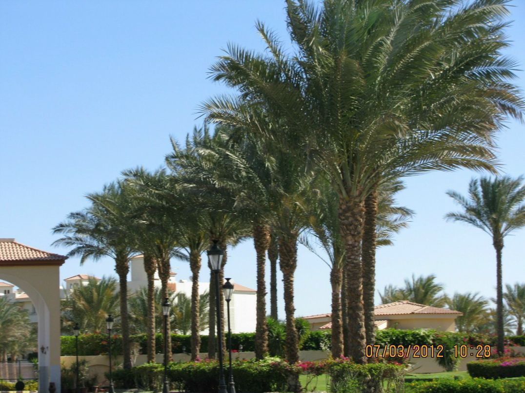 Виктория Зелюкина | Киев