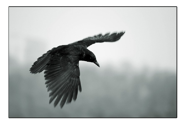 №10, Виолетта Винниченко, Харьков №10, Виолетта Винниченко, Харьков