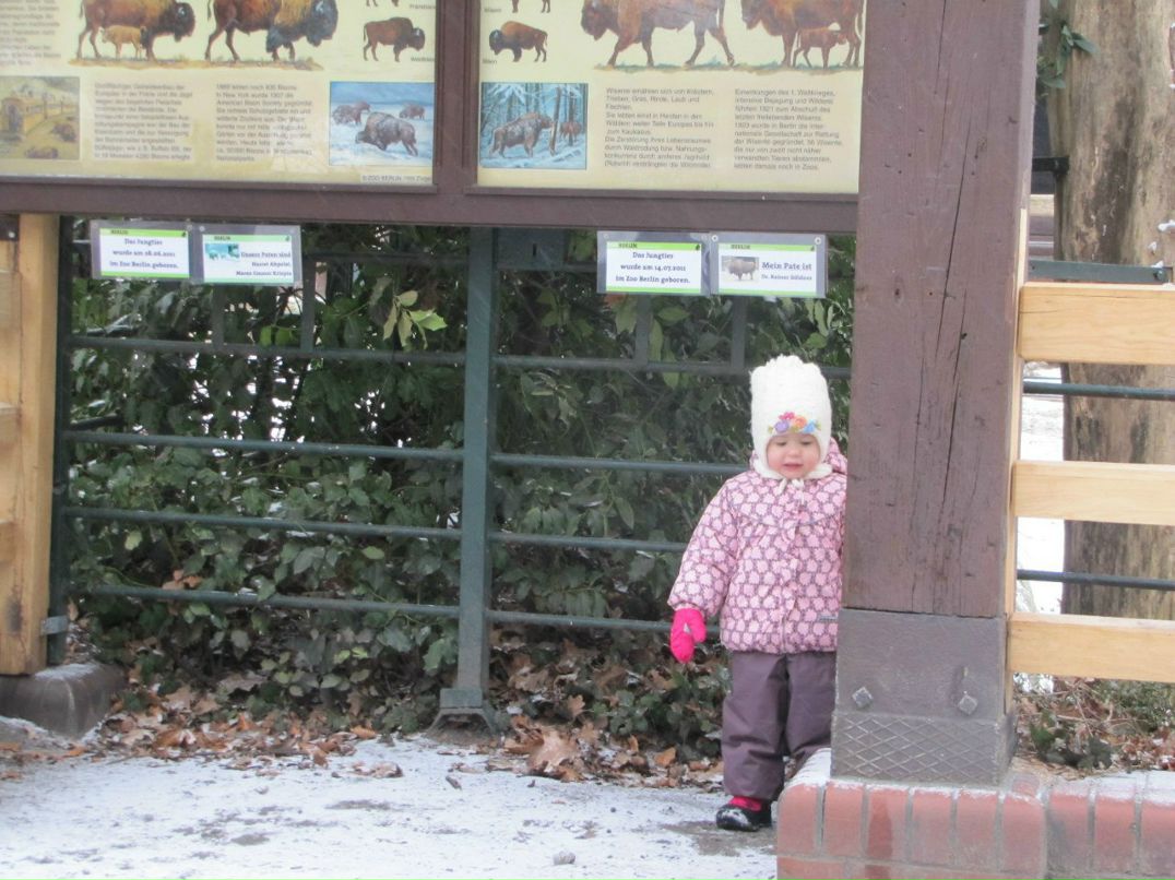 Андрей Резник | Москва