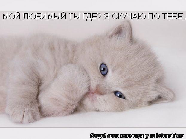 Ольга Орлова | Санкт-Петербург