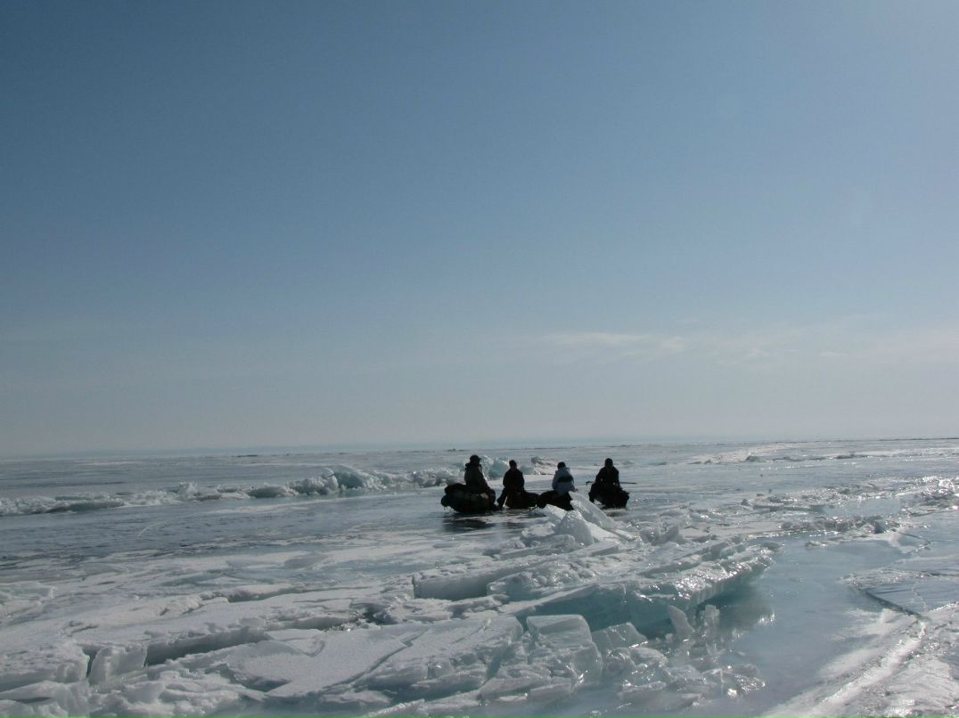Лена Колбина | 