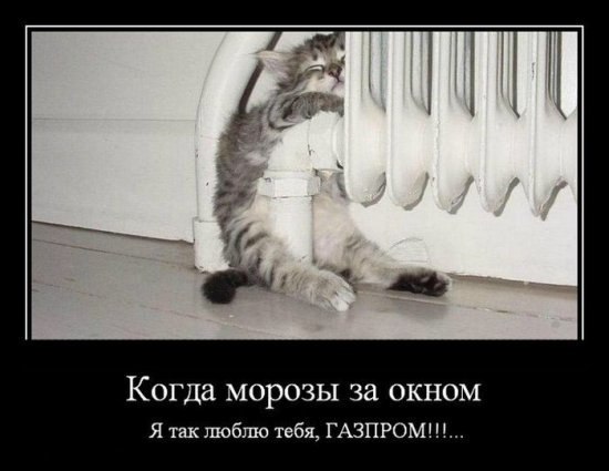 Елена Ковтун | Нижневартовск