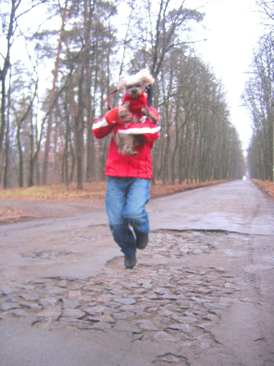 Юлия Птущенко | Донецк