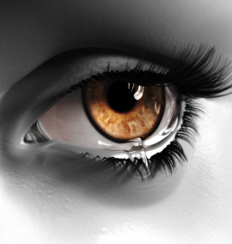 Лилия Трегубенко | Краснознаменск