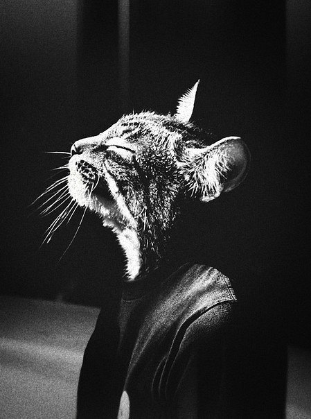 Евгений Шамрай | Валдай